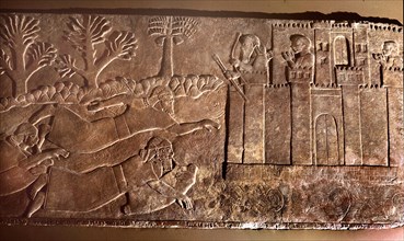 Carved slab from King Ashurnasirpal IIs throne room at Nimrud