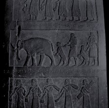 The black obelisk of Shalmaneser III