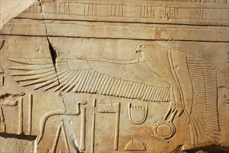 Details of a falcon clutching a solar disc from a hieroglyphic inscription