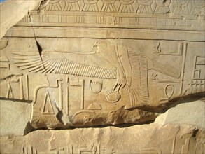 Details of a falcon clutching a solar disc from a hieroglyphic inscription