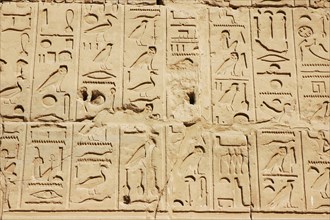 Details of an hieroglyphic inscription