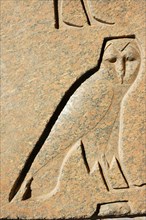 Details of an owl from a hieroglyphic inscription