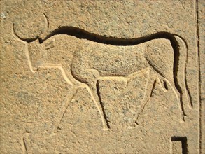 Hieroglyph of a sacred bull from a temple inscription