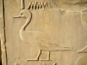 Hieroglyph of a duck from a temple inscription