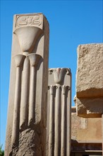 Two granite heraldic pillars depicting the sacred lotus and papyrus