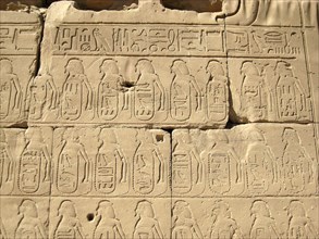 Relief of hieroglyphic insription and captive in the Cachette Court