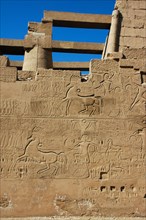 View of the giant relief decoration on the outside northern wall of the Great Hypostyle Court