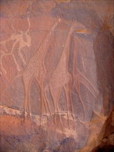 At the beginning of the Holocene the hunter gatherers of the Sahara experienced very different enviromental conditions