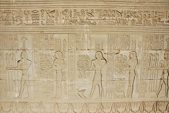 Carved relief on the outer wall of the structure which houses the Hall of the Ennead and The Sanctuary