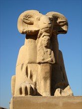 Ram headed sphinx with statuette of Ramesses II between its legs from the Processional Way