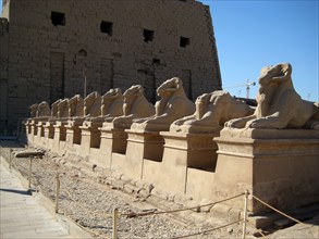 The Processional Way flanked by ram headed sphinxes with statuettes of Ramesses II between their legs
