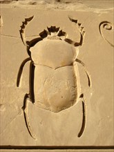 Relief from the White Chapel of Sesostris I, with scarab