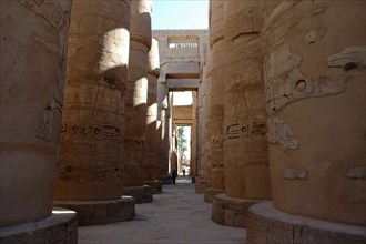 The Great Hypostyle Hall showing the forest of columns each of which is 23m high and 15m circumference