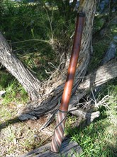 Didgeridoo from the Arnhem Land region of the Northern Territory made by didgeridoo palyer David Blanatji