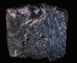 Fossilised mineral found in southwest Turfan, Western China