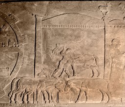 Detail of a relief showing the stables at the camp of Ashurnasirpal II