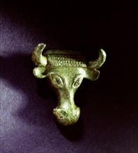 Bronze bovine head
