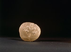 Gold coin bearing the abbreviated name of King Verica and the image of a vine leaf
