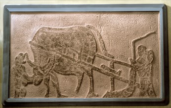 A brick from a tomb structure with a design of a man ploughing with an ox drawn plough