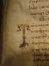 The initial T from an illuminated manuscript