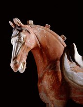 Buff pottery stallion (detail)