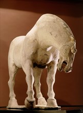 Pottery stallion