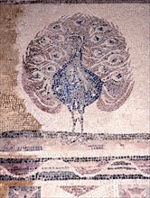 Peacock mosaic from the House of Dionysus, Paphos