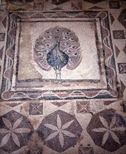 Peacock mosaic from the House of Dionysus, Paphos