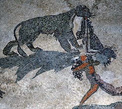 Detail of leopard from the mosaic of Pyramus and Thisbe from the House of Dionysus