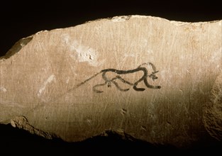 Limestone fragment with black outline sketch of baboon