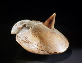 Shell lime container in the form of a bird