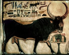 Painted relief from the tomb of Nefertari representing the sky bull