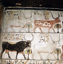 Painted relief from the tomb of Nefertari representing the sky bull and three of the seven sacred Hathor cows