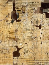 A detail from the Turin Papyrus which depicts scenes of prostitutes, their clients and various love making positions