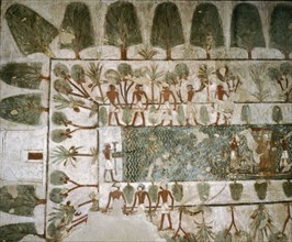 A detail of a wall painting in the tomb of Rekhmire showing a garden and ornamental pool
