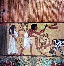 A detail of a painting on stucco in the tomb of Sennedjem showing the tomb owner ploughing and his wife seeding flax or wheat in the mythical fields of Iaru