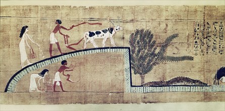 A detail of a vignette from the Book of the Dead of Lady Cheritwebeshet showing ploughing, sowing and harvesting the wheat in the Iaru Field