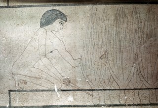 A master sketch for the unfinished decoration of the tomb of Neferherenptah