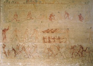 A relief from the tomb of the vizier Ptah hotep at Saqqara showing desert & river bank scenes