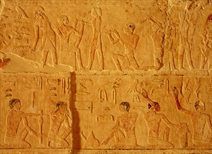 A relief from the mastaba of Niankhkhnum and Khnumhotep, priests and oversees of the palace manicurists of King Neweserra