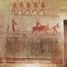 Painted relief from the north wall of the sacrificial chamber of the tomb of Ty