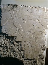 A fragment of a relief from King Userkafs temple at Saqqara depicting a variety of birds in a papyrus thicket, including hoopoes and water birds