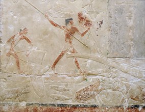 A detail of a relief in the tomb of Princess Sesh seshet Idut at Saqqara showing hunting hippopotamus from papyrus reed boats