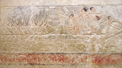 A detail of a relief in the tomb of Princess Sesh seshet Idut at Saqqara showing herdsman with cattle fording a canal