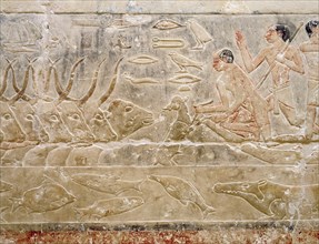 A detail of a relief in the tomb of Princess Sesh seshet Idut at Saqqara showing herdsman with cattle fording a canal