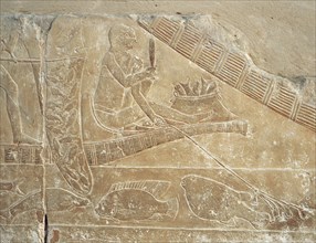 A relief in the tomb of Princess Sesh seshet Idut at Saqqara depicting a fishing scene