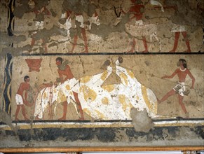 A painting from the tomb of Ity depicting the slaughtering of an ox