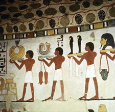 A detail of a wall painting in the tomb of Sennefer