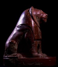 The statue of a seated lion from Nekhen ( Hierakonpolis )