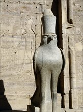 The colossal statue of the god Horus at the entrance to the Temple of Horus, Edfu